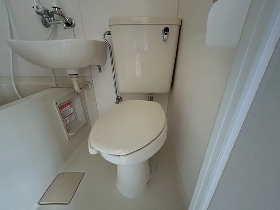 ラッキーフリューゲル