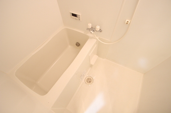 ミニヨンフルールAWA