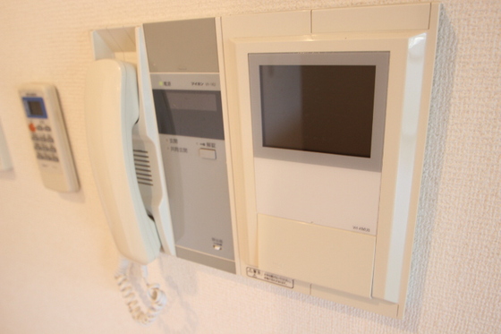 ミニヨンフルールAWA