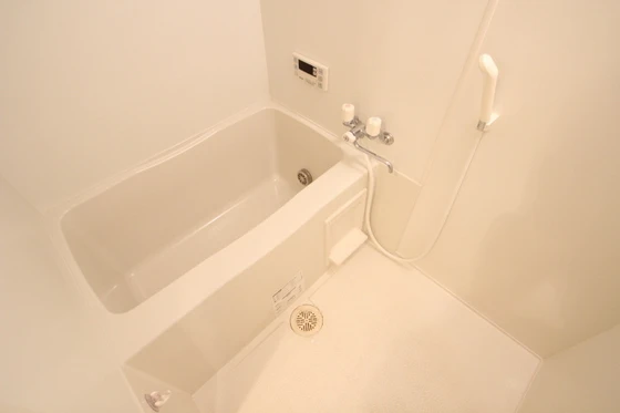 ミニヨンフルールAWA