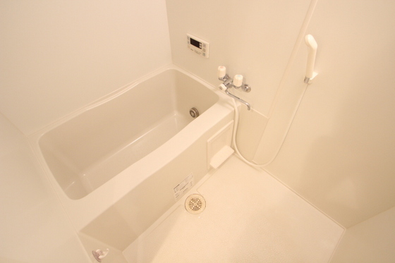 ミニヨンフルールAWA