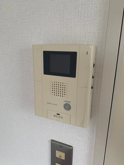 パステルクボ15