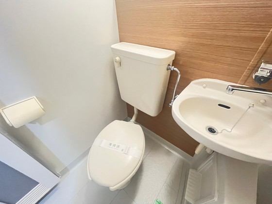 パステルクボ15