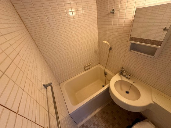 ライオンズマンション国泰寺