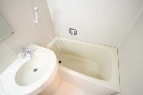 ダイアパレス舟入幸町