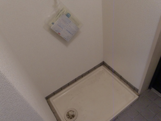 フローレンスS1