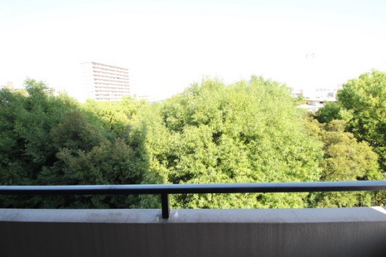 ペンションシングウ