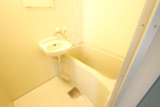 メゾンメイプル