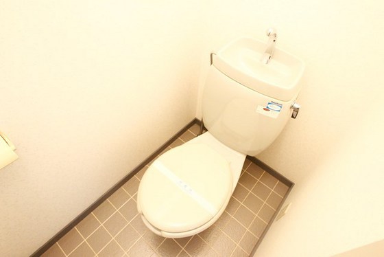 メゾンメイプル