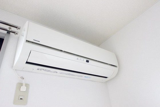 メゾンメイプル