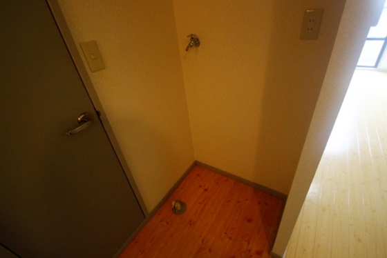 メゾンメイプル