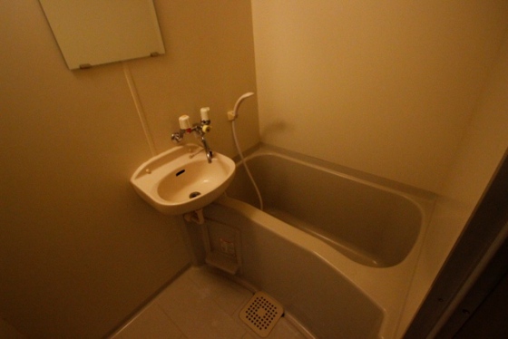 メゾンメイプル