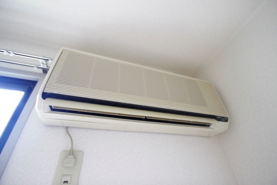 メゾンメイプル