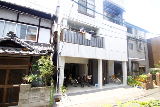 メゾンメイプル