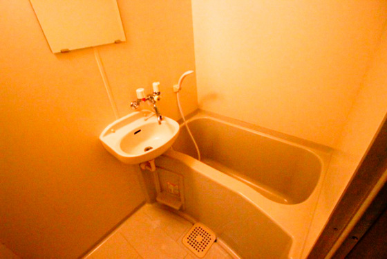 メゾンメイプル