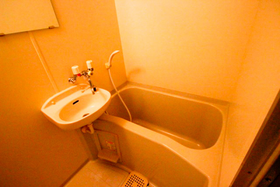 メゾンメイプル