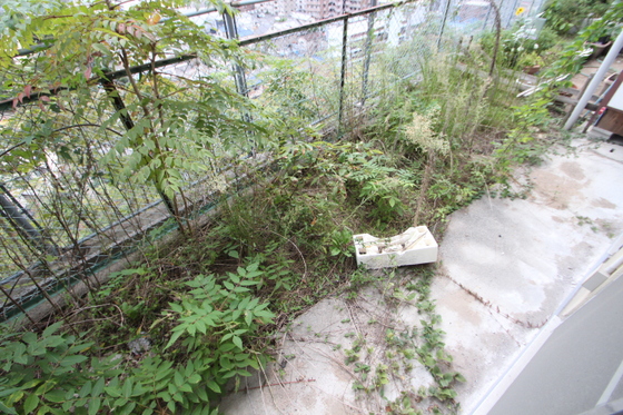 迫本マンション