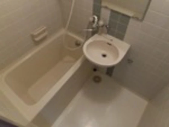 ダイアパレス大手町第3