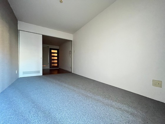 ダイアパレス大手町第3