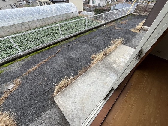 ニューシティSK