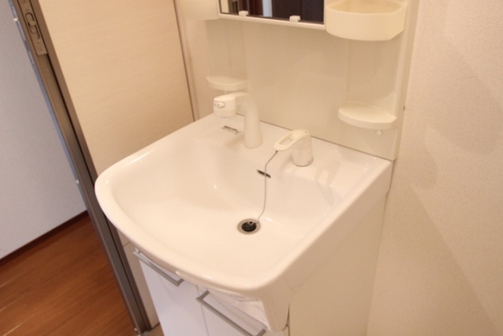 ラップランドみずかみ