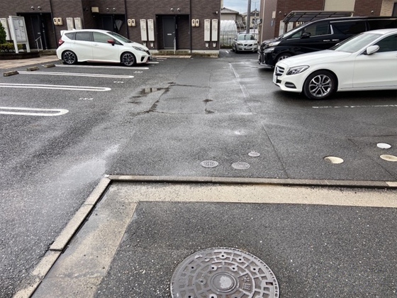 レオネクストグリーンコート住岡