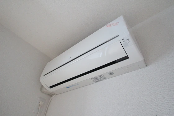 フィデール 庚午