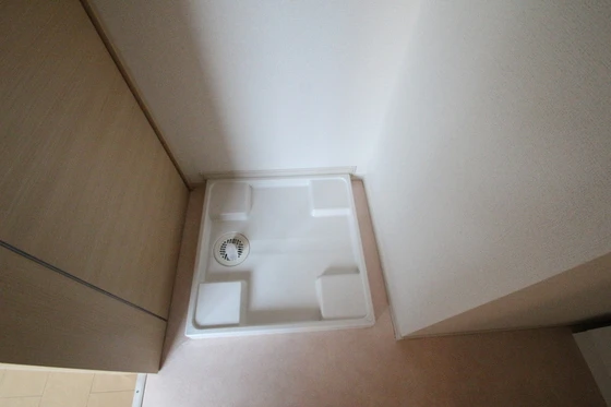 フィデール 庚午