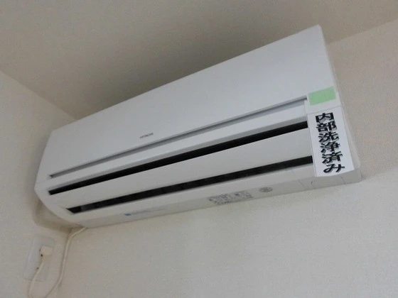 フィデール 庚午