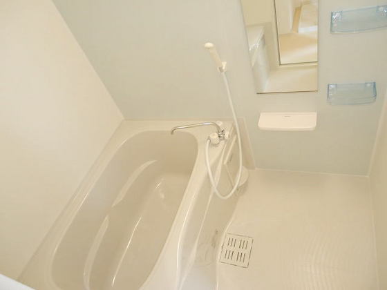 フィデール 庚午