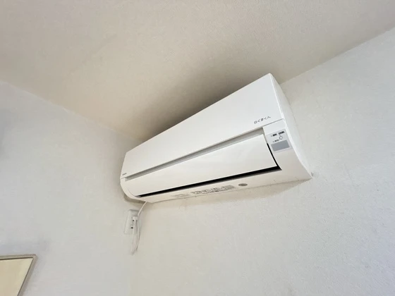 フィデール 庚午