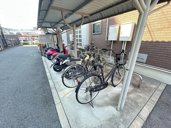 フィデール 庚午