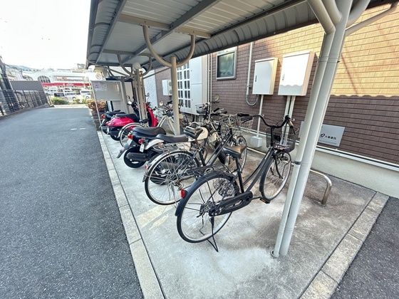 フィデール 庚午