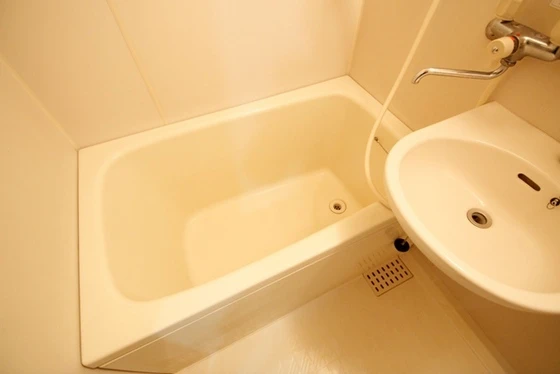 セジュール岩本