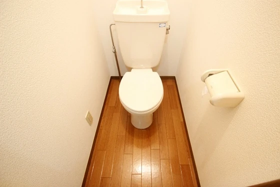 セジュール岩本