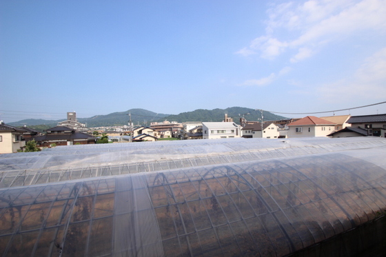 フォブール川内