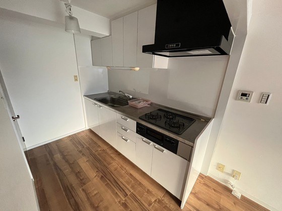 サングリーンⅡ