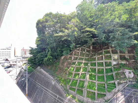 カームレスト・R