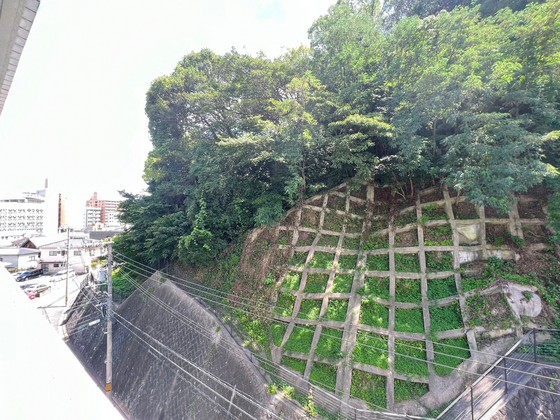 カームレスト・R