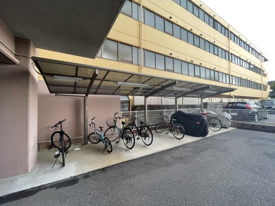 シャングリラⅡ