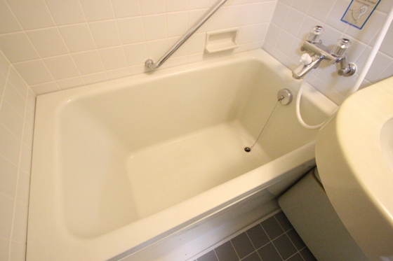 ダイアパレス国泰寺弐番館