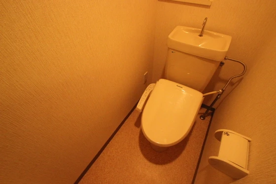 ダイアパレス国泰寺弐番館