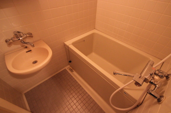 ダイアパレス国泰寺弐番館