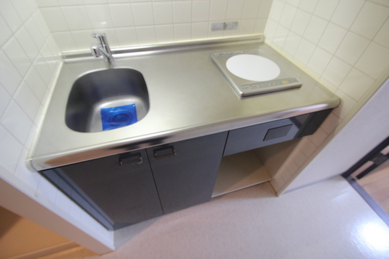 ダイアパレス国泰寺弐番館