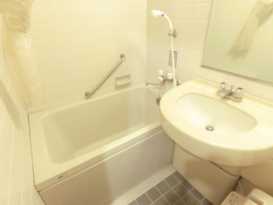 ダイアパレス国泰寺弐番館