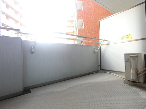 ダイアパレス国泰寺弐番館