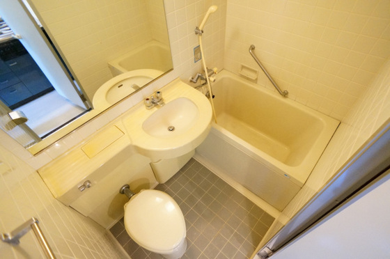 ダイアパレス国泰寺弐番館