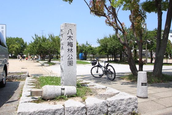 フォブール八木C棟