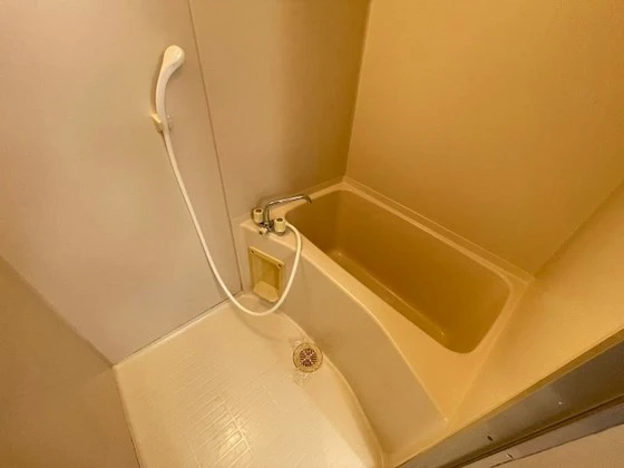 グランヴェルジェ中須Ⅱ