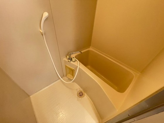 グランヴェルジェ中須Ⅱ